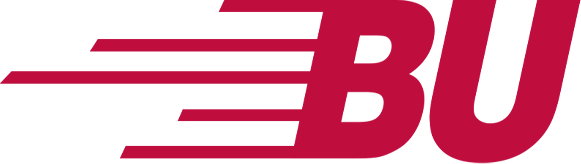 Boston University Terriers 1980-1996 Secondary Logo diy iron on heat transfer